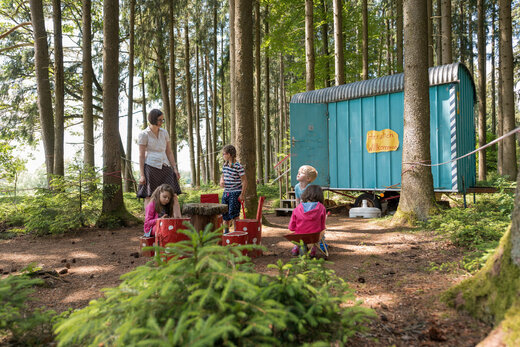 Schulkindergarten Zeno macht einen Ausflug in den Wald 