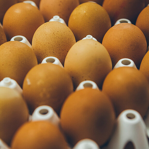 Eine Palette Eier