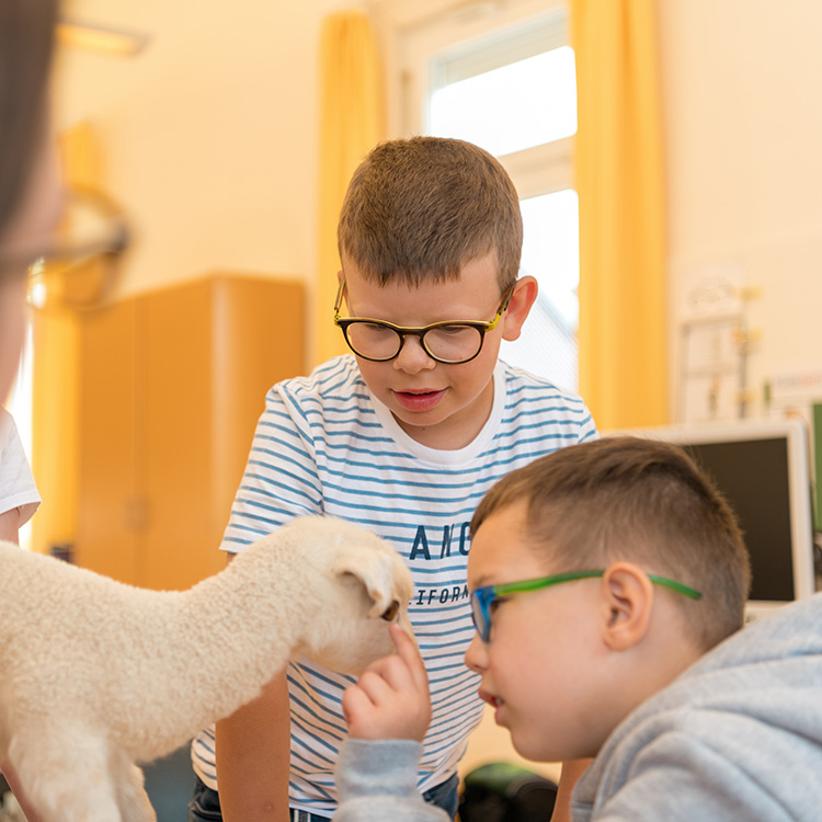 Zwei Jungen mit Sehbehinderung studieren das Modell eines Schafs