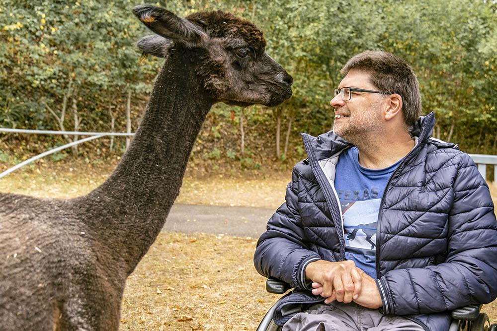 Mann im Rollstuhl sitzend lacht einem braunen Alpaka zu