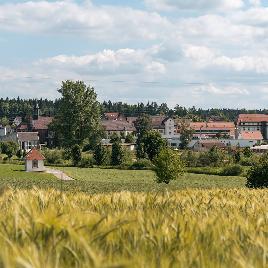 Blick über Kornfelder auf den Stadtteil Heiligenbronn